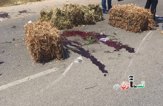 مصرع الطالبين الجامعيين رشاد ابريق ونزار درويش من أبو سنان في حادث طرق دام في جنين